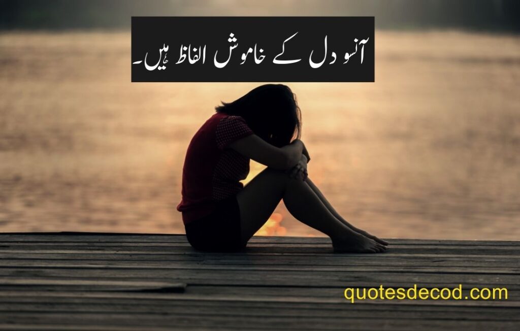 1 21 sad quotes in urdu