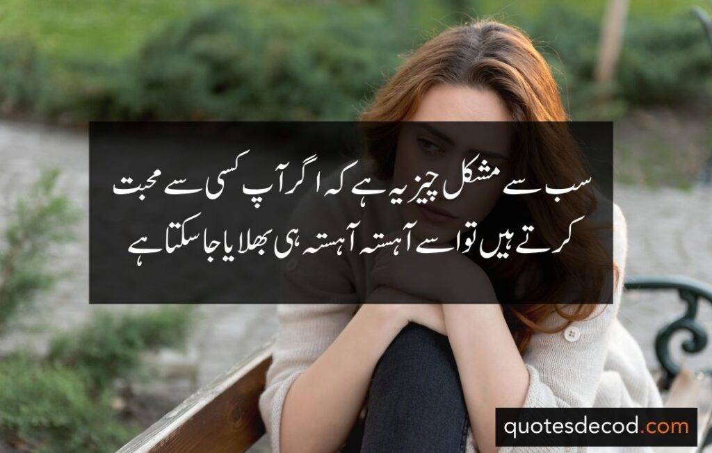 اور بھی دکھ ہیں زمانے میں محبت کے سوا راحتیں اور بھی ہیں وصل کی راحت کے سوا 10 1 sad quotes in urdu