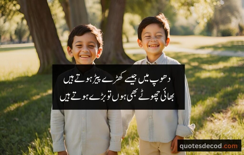 brother quotes in urdu