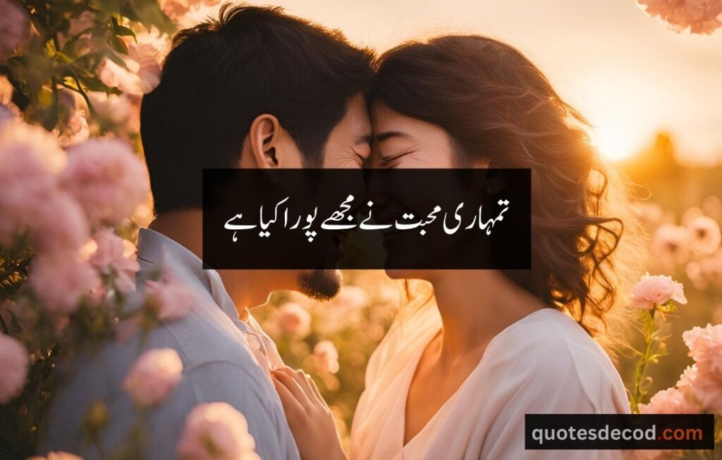 اور بھی دکھ ہیں زمانے میں محبت کے سوا راحتیں اور بھی ہیں وصل کی راحت کے سوا 2 2 love quotes for husband in urdu