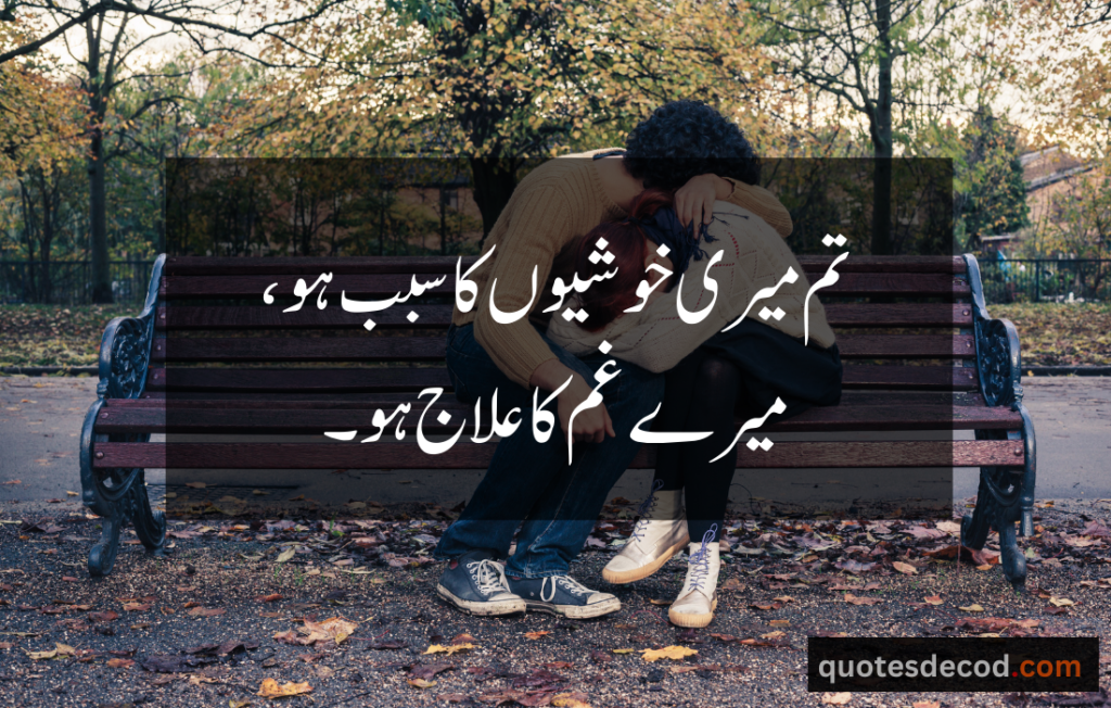 اور بھی دکھ ہیں زمانے میں محبت کے سوا راحتیں اور بھی ہیں وصل کی راحت کے سوا 22 Life Quotes In Urdu 2 Lines & Shayari On Life