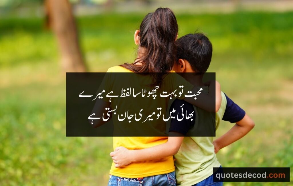 اور بھی دکھ ہیں زمانے میں محبت کے سوا راحتیں اور بھی ہیں وصل کی راحت کے سوا 3 3 brother quotes in urdu