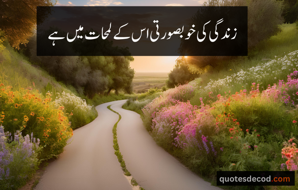 اور بھی دکھ ہیں زمانے میں محبت کے سوا راحتیں اور بھی ہیں وصل کی راحت کے سوا 31 1 beautiful quotes in urdu