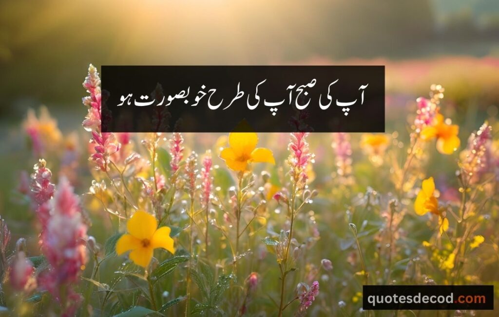 اور بھی دکھ ہیں زمانے میں محبت کے سوا راحتیں اور بھی ہیں وصل کی راحت کے سوا 8 2 morning quotes in urdu