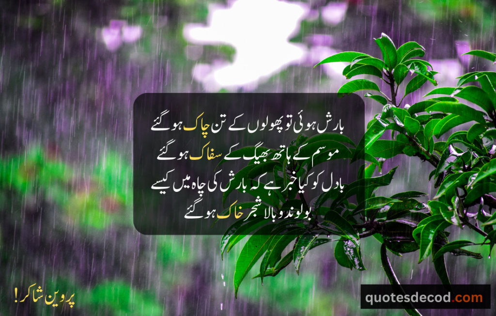 اور بھی دکھ ہیں زمانے میں محبت کے سوا راحتیں اور بھی ہیں وصل کی راحت کے سوا 11 1 rain quotes in urdu