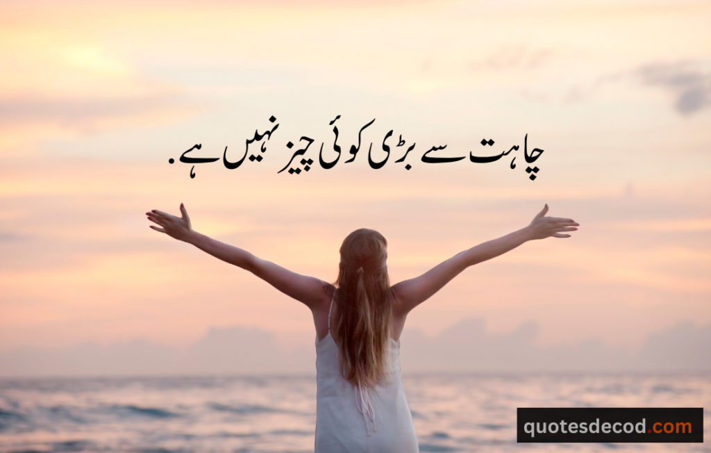 اور بھی دکھ ہیں زمانے میں محبت کے سوا راحتیں اور بھی ہیں وصل کی راحت کے سوا 25 motivational quotes in urdu one line