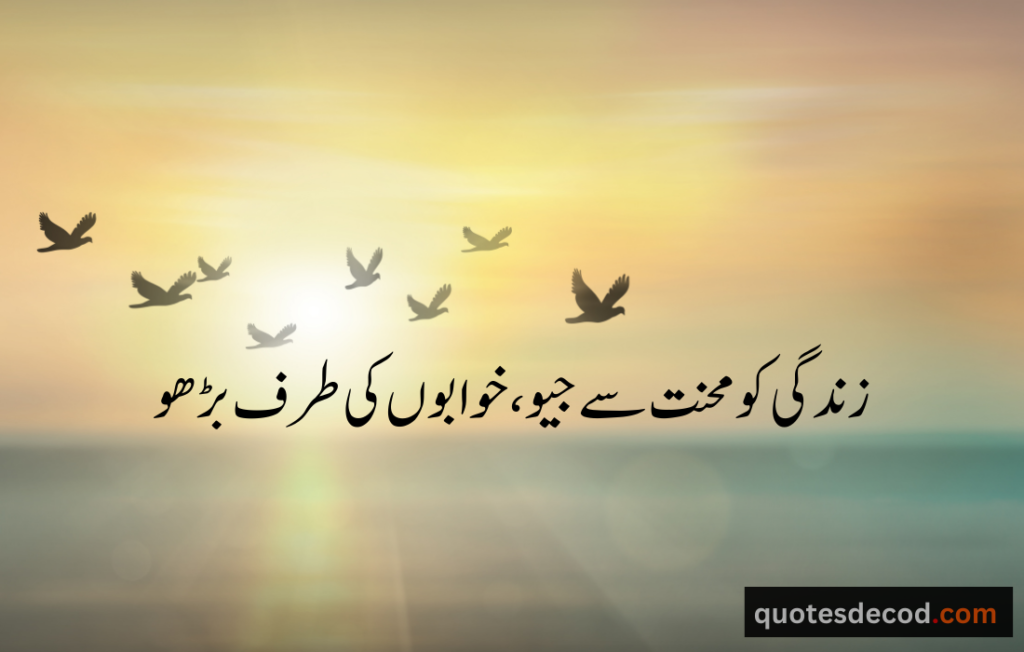 اور بھی دکھ ہیں زمانے میں محبت کے سوا راحتیں اور بھی ہیں وصل کی راحت کے سوا 29 motivational quotes in urdu one line